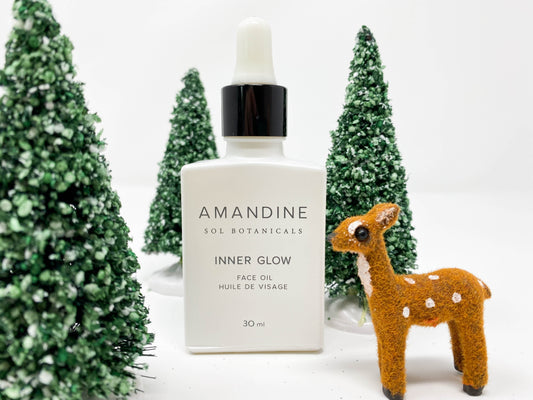 Holiday Pre-Tox: Prepare for The Healthiest Holiday