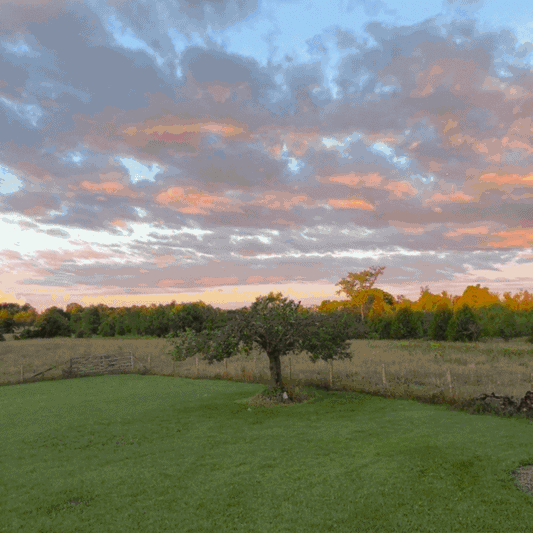 The Farmhouse Edit: Edition 04