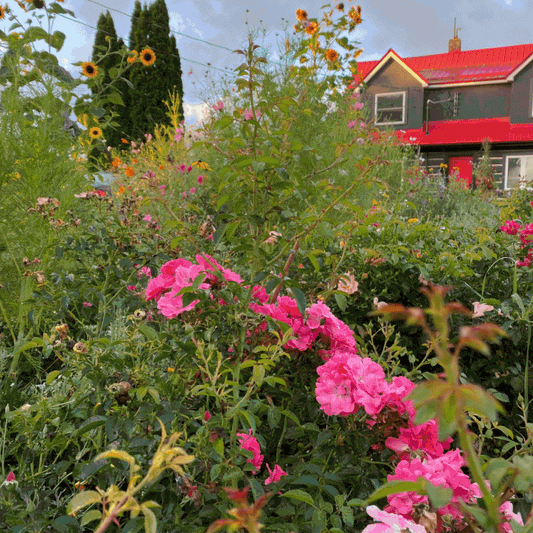 The Farmhouse Edit: Edition 01