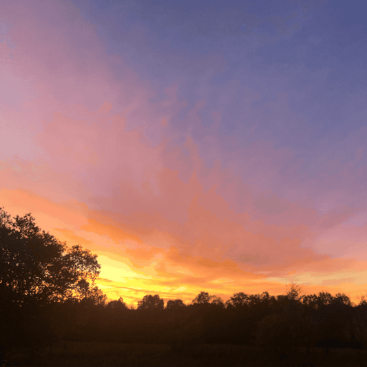 The Farmhouse Edit: Edition 31